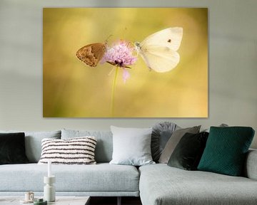 Twee vlinders op een bloem van Chantalla Photography