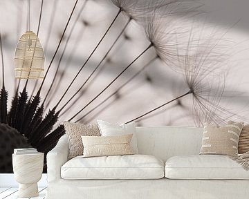 The fluff of a dandelion with backlighting by Marjolijn van den Berg