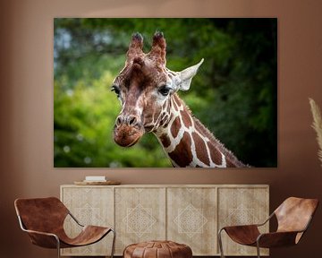 Giraf van LUNA Fotografie