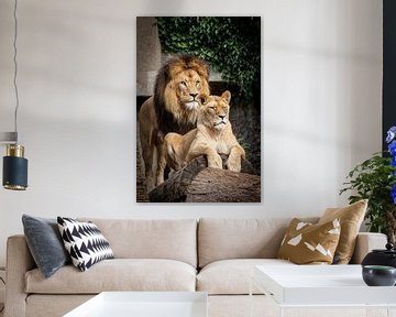 Leeuw en leeuwin van LUNA Fotografie