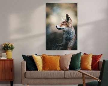 The fox in the spotlight by Daniel Hop