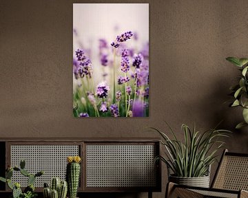 Lavendel | Zomerse close-up van Suzanne Spijkers