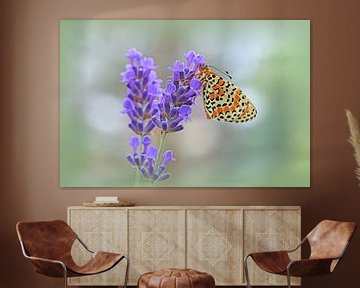 Rode vlinder op lavendel van Wiltrud Schwantz