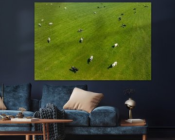 Cows in a green pasture during springtime seen from above by Sjoerd van der Wal Photography