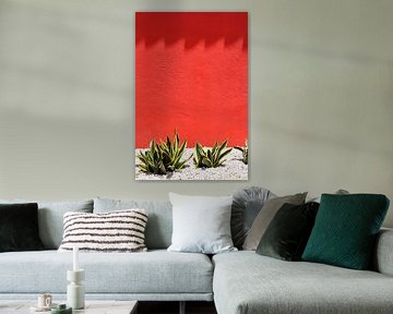 Groengele cactus voor rode muur met schaduw van Studio LE-gals