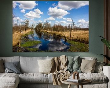 Cloudy swamp van Gerald Schuring
