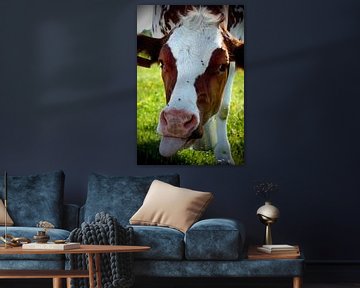 Portret van een gevlekte koe die net haar tong uitsteekt van Besa Art