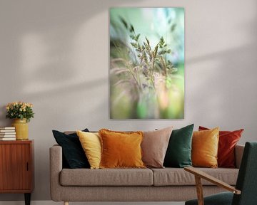 Grass Dream by Patricia van Kuik