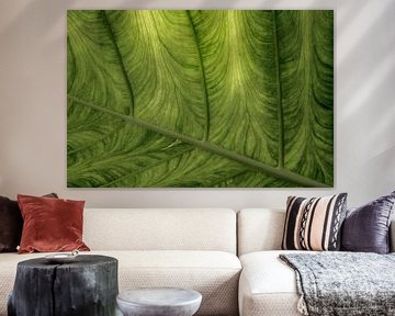 Tropical Leaf. Macro photography. by Alie Ekkelenkamp