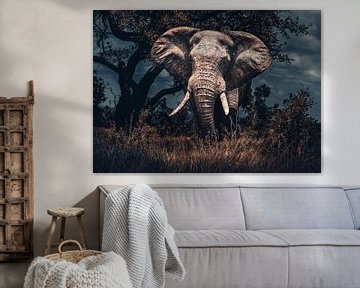 Éléphant d'Afrique