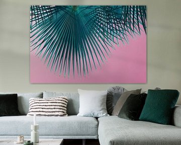 Blue green palm leaf and pink sky, summer season by Adriana Mueller