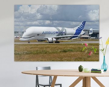 Airbus Beluga XL (Airbus A330-743L). van Jaap van den Berg