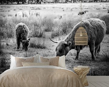 Mother Scottish Highlander with her calf by Ellis Peeters