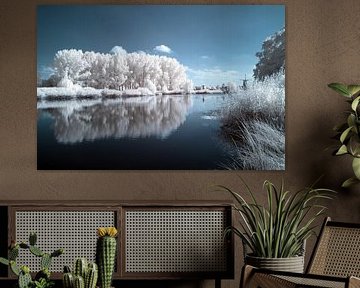 Infrarot-Sommerlandschaft mit Bäumen Reflexion im Wasser Winterblick