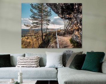 Zirkelstein, Saksisch Zwitserland - Dennenboom en beklimming van het rotsplateau van Pixelwerk