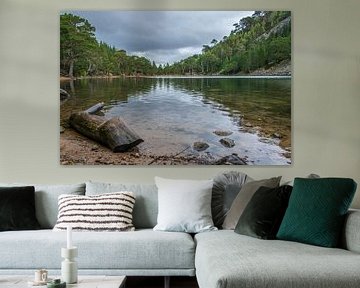 Schottland - An Lochan Uaine - Der grüne See von Rick Massar