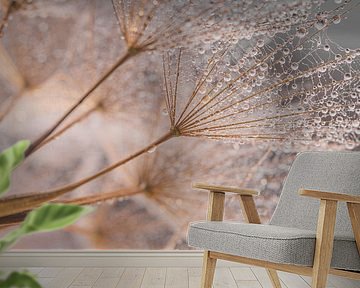 Good morning Tragopogon! by Marjolijn van den Berg